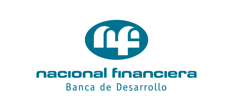 nacional financiera