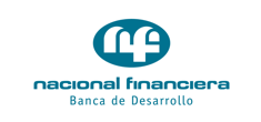 nacional financiera