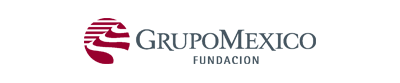 Fundación Grupo Mexico