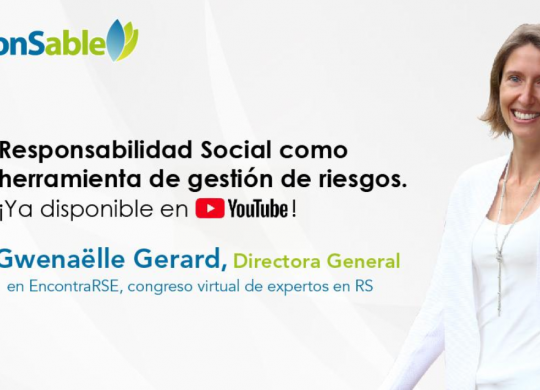 Taller gestión riesgos RS 2019