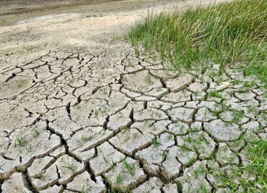 desastres_naturales_crisis_climática_responsabilidad_social